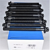 Болты ГБЦ комплект K9K Megane 2